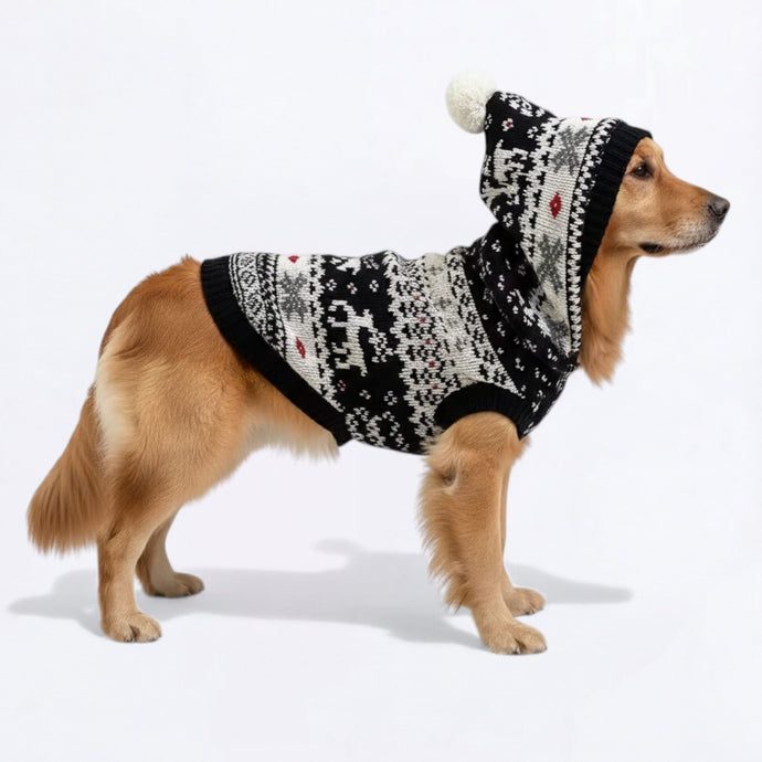 Pet Christmas Sweater / Hoodie