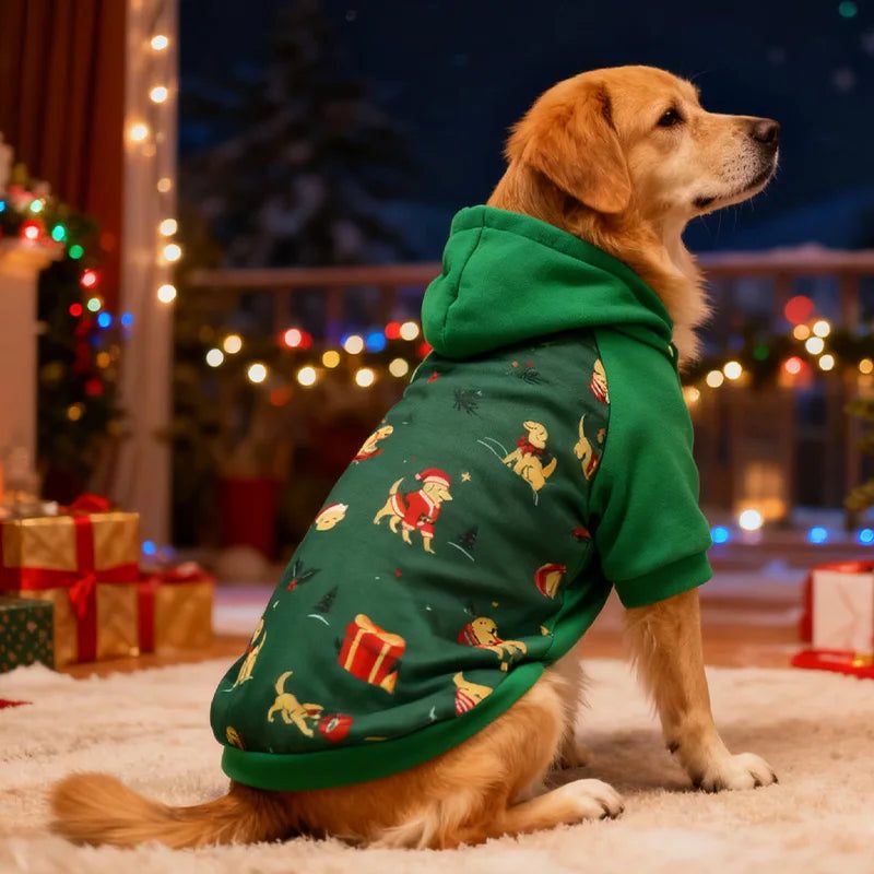 Pet Christmas Sweater / Hoodie